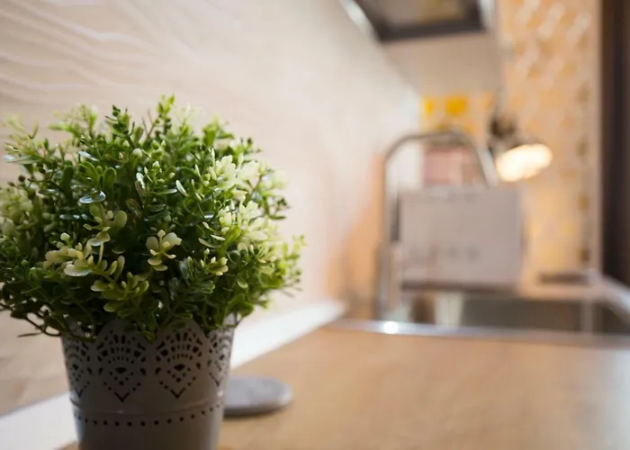 Apartman Chic Up Bukarest