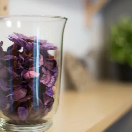 Chic Up Βουκουρέστι