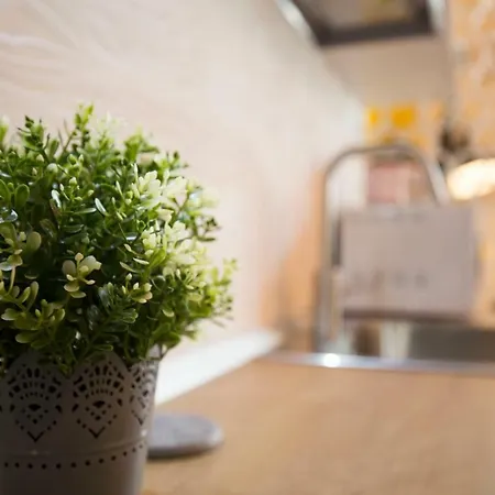 Apartment Chic Up Bucharest