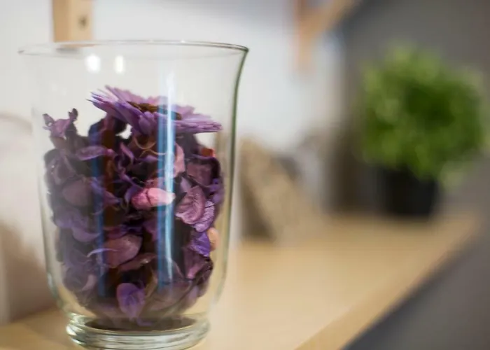 Chic Up 부쿠레슈티