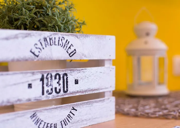 Chic Up * 부쿠레슈티